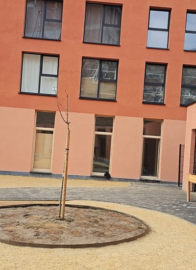 WhatsApp Image 2026-03-10 at 13.15.21 (1)